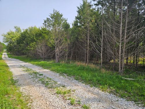 tract-e-226 Lilac Tract E Lane, Rogersville, MO, 65742 | Card Image