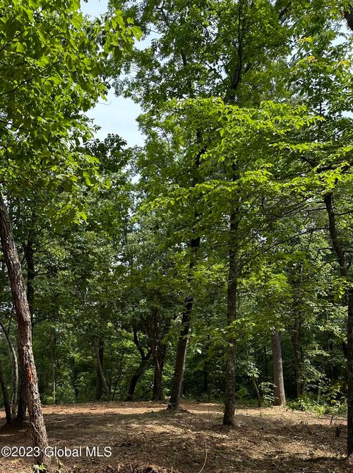 52 Totem Lodge Road, Nassau, NY, 12123 | Card Image