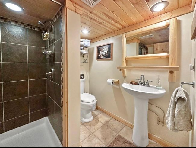 21 Bath Lower Level.jpeg | Image 20