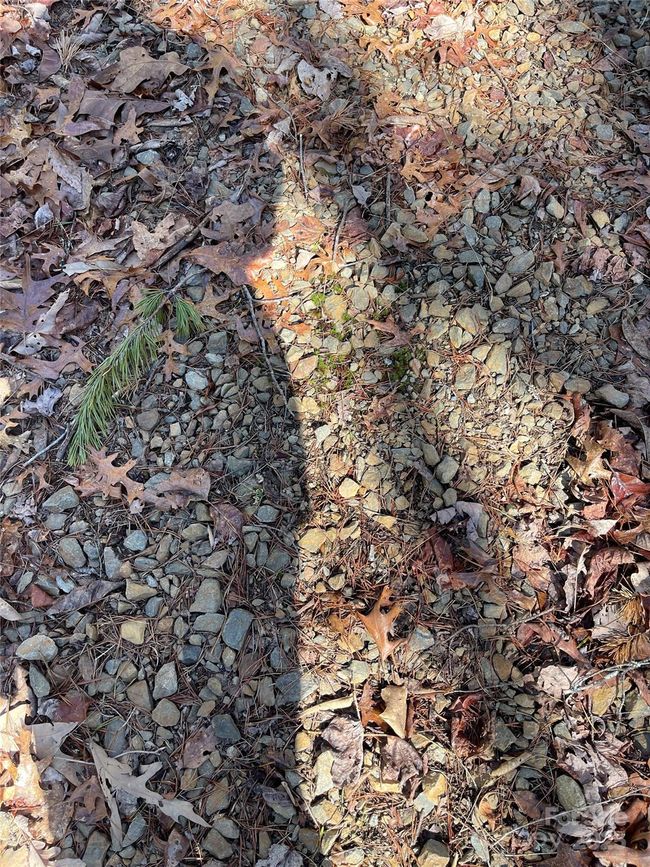 0000 Pine Log Rd, Home with 0 bedrooms, 0 bathrooms and null parking in Warne NC | Image 12