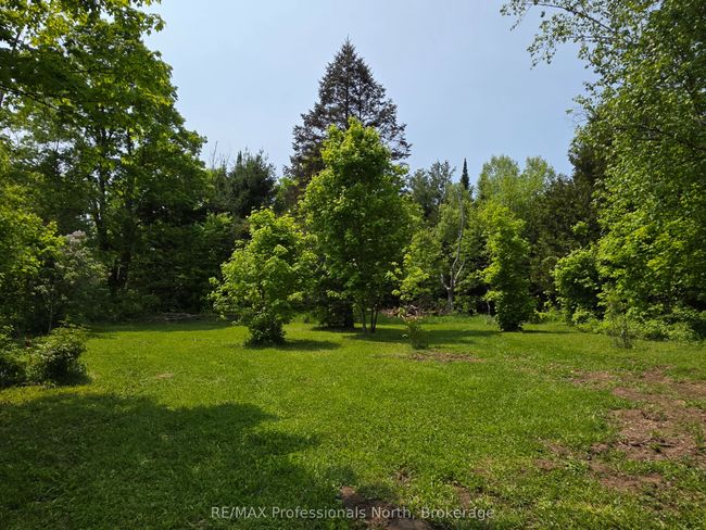 1537 Tulip Rd, House other with 2 bedrooms, 1 bathrooms and 4 parking in Algonquin Highlands ON | Image 38