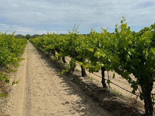 1091 W Caruthers Ave, Caruthers, CA, 93609-9775 | Card Image