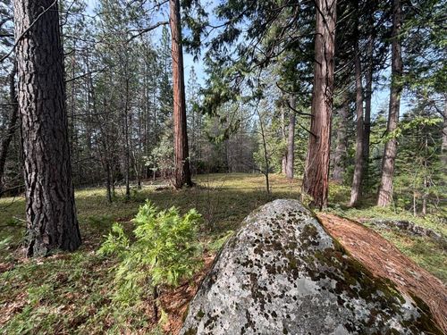 245 Heron Ct, Avery, CA, 95224 | Card Image