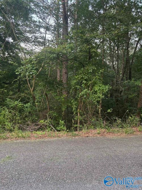 .73 Berkley Hills Dr S, Gadsden, AL, 35907 | Card Image