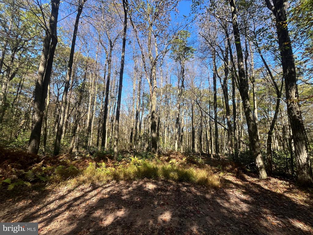 Land in CATAWISSA 4