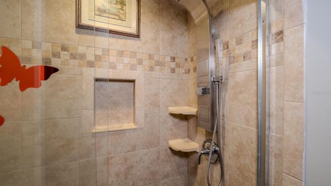 15701 Springmoss Ln, House other with 4 bedrooms, 5 bathrooms and null parking in Tampa FL | Image 45