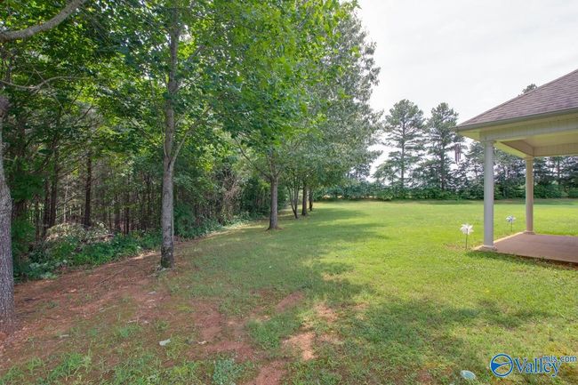 253 Waterbrook Ln, House other with 3 bedrooms, 3 bathrooms and null parking in Harvest AL | Image 41