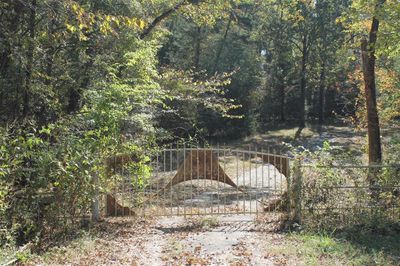 Front Gate | Image 3