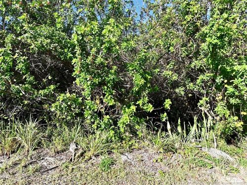 0 River Palm Dr, FORT PIERCE, FL, 34946 | Card Image