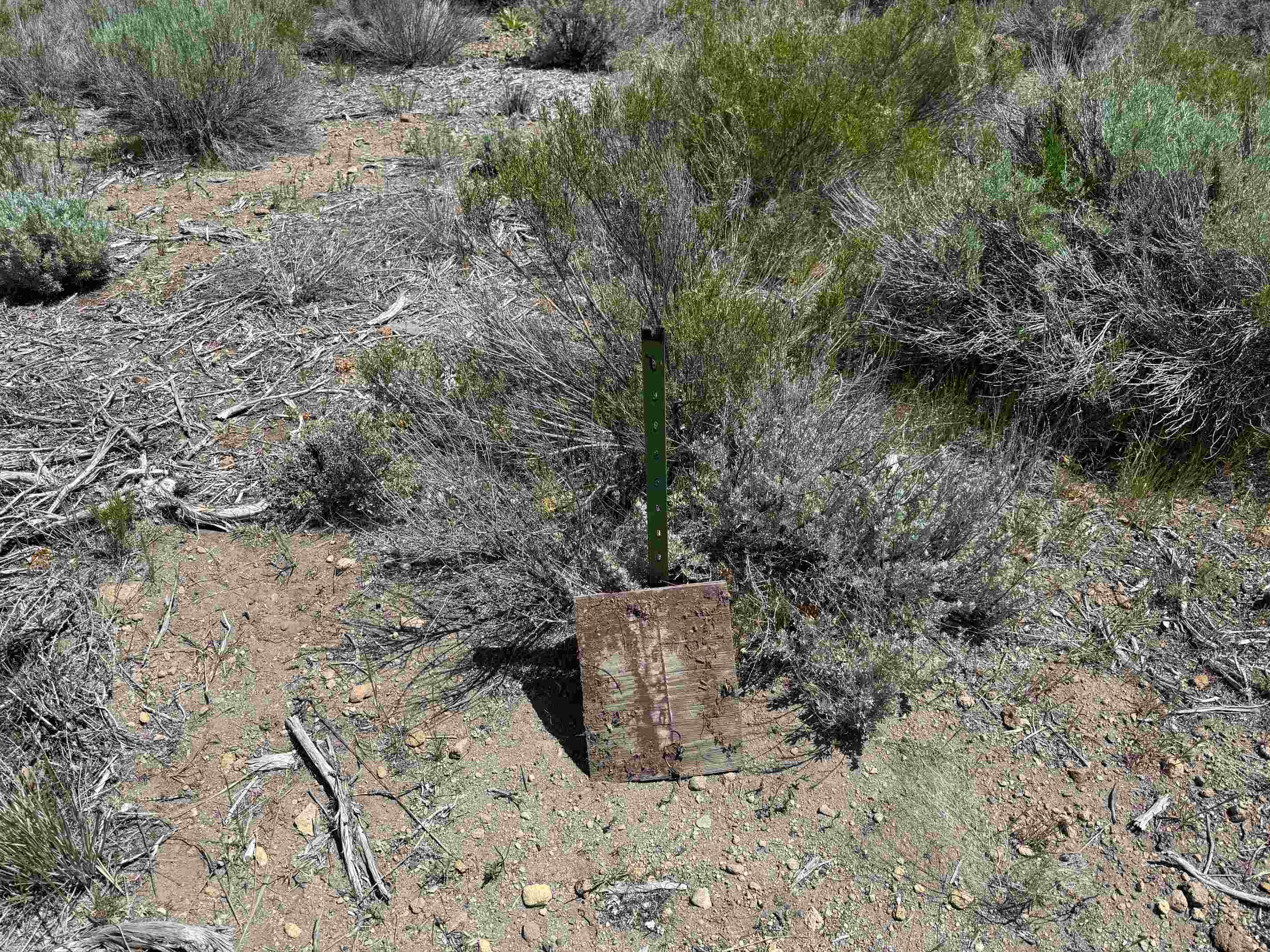 Land in Weed 4