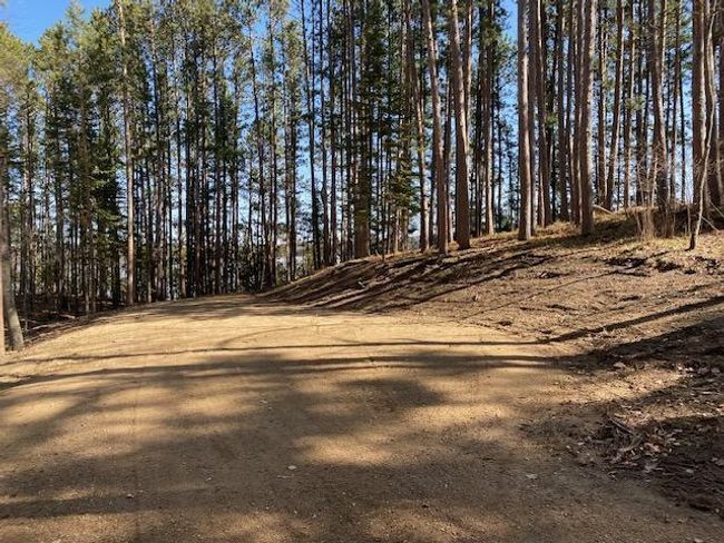Cleared site before camper was brought in. | Image 9