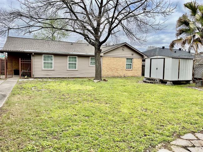 Back Yard continues... | Image 14
