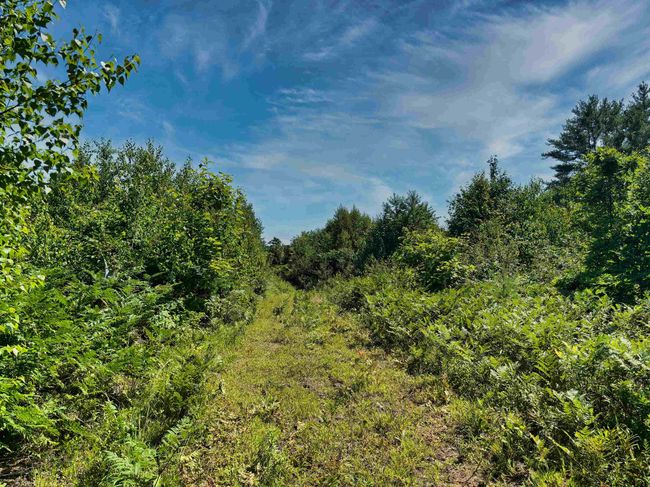 243 Currier Rd, Home with 0 bedrooms, 0 bathrooms and null parking in Andover NH | Image 19