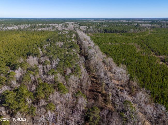 00 Sykes Town Rd, Home with 0 bedrooms, 0 bathrooms and null parking in Currie NC | Image 44