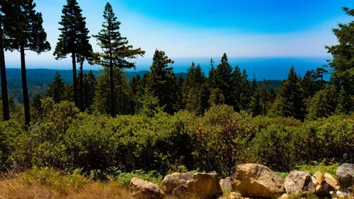 44591 Zettler Rd, Point Arena, CA, 95468 | Card Image