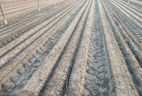 6150 Pringle Ln, Immokalee, FL, 34142-5583 | Card Image