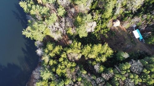 95 Natural Forest Lake Rd, Barss Corner, NS, B0R1A0 | Card Image