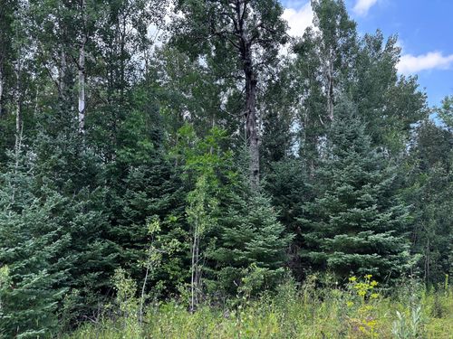 TBD Highway 71, Littlefork, MN, 56653 | Card Image