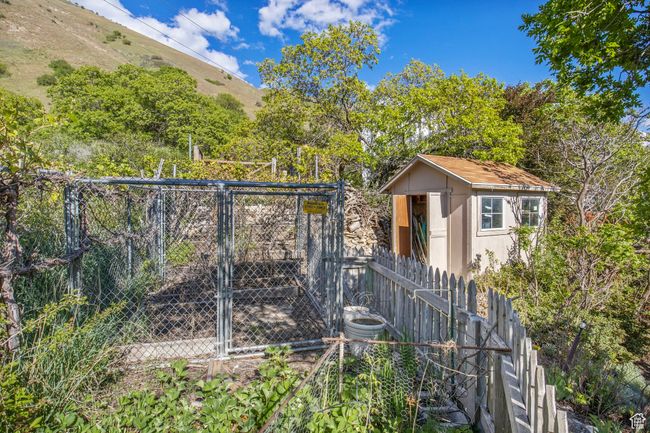 Dog Run | Image 44