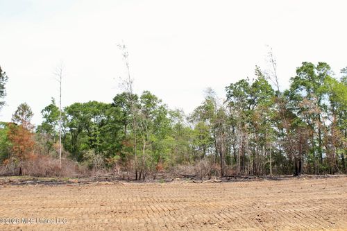 3.78ac Cottonwood Drive, Lucedale, MS, 39452 | Card Image