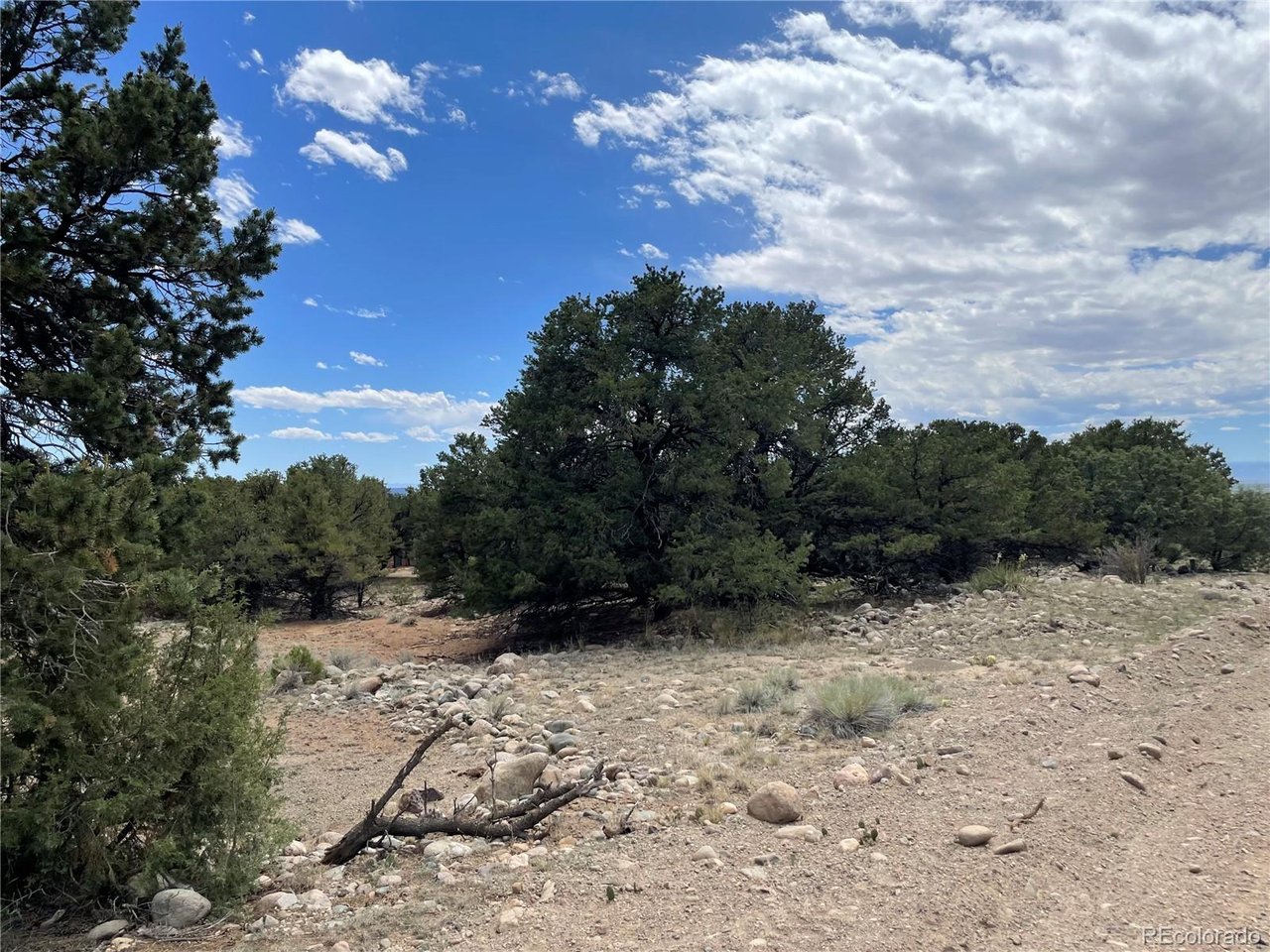 Land in Crestone 5