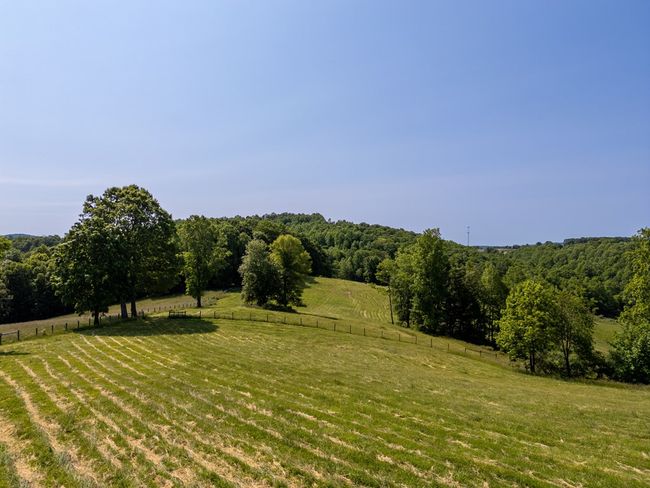 688 Gibson Knob Rd, Home with 0 bedrooms, 0 bathrooms and null parking in Laurel Fork VA | Image 34