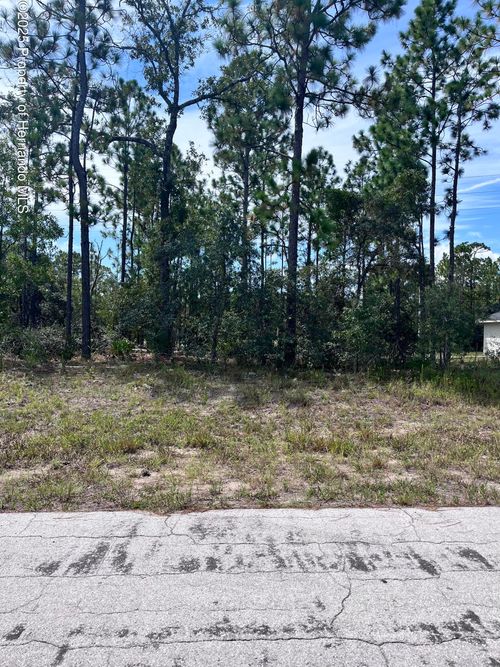 2910 W Rutland Dr, Citrus Springs, FL, 34433-3446 | Card Image