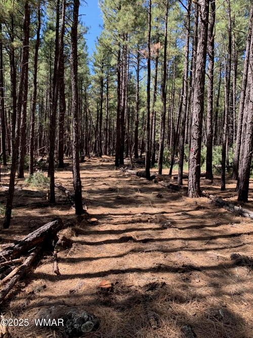 tbd-2 Dynamite Rd, Lakeside, AZ, 85929 | Card Image