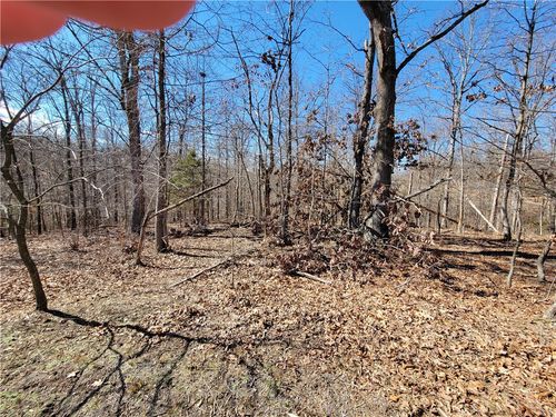 21 Peebles Lane, Bella Vista, AR, 72715 | Card Image