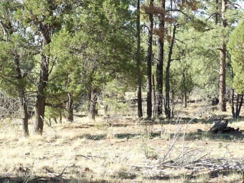 Parcel C Lamb Dr, Pinedale, AZ, 85934 | Card Image