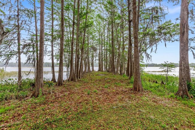 Back yard with view of the lake | Image 8