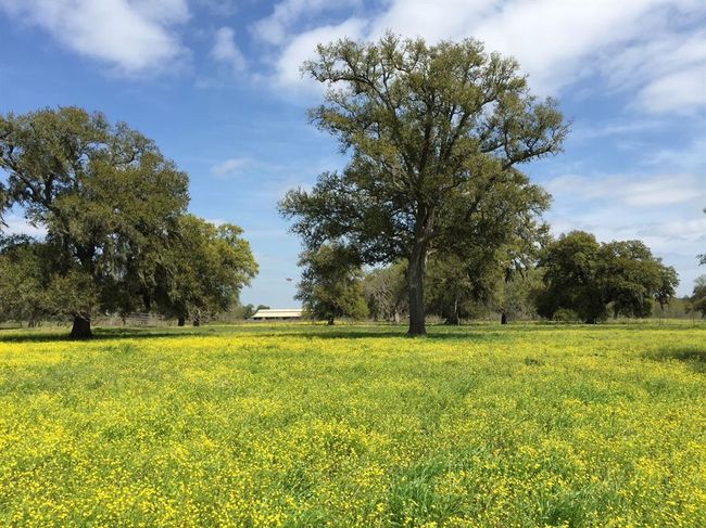 16411 Majestic Oaks Dr, Home with 0 bedrooms, 0 bathrooms and null parking in Rosharon TX | Image 11