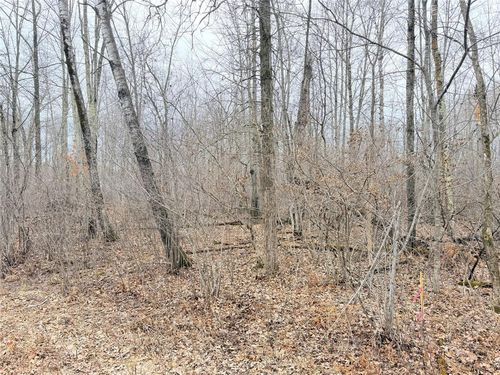 Lot 20 28 7/8 Avenue, Cedar Lake, WI, 54817 | Card Image