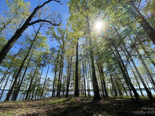 8-0 Summerset Bay Drive, Cross Hill, SC, 29332 | Card Image