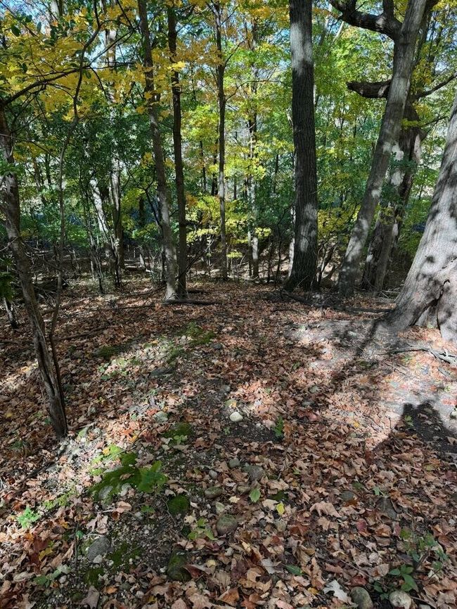 Lt0 State Road 83, Home with 0 bedrooms, 0 bathrooms and null parking in Hartland WI | Image 5