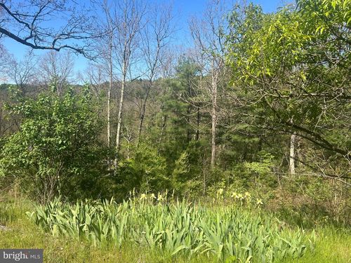 73 Mullins Ln, BERKELEY SPRINGS, WV, 25411-6217 | Card Image