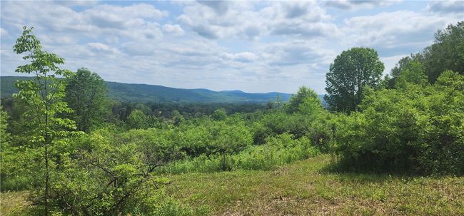 lot 30 Algerine Street, Home with 0 bedrooms, 0 bathrooms and null parking in Afton NY | Image 6