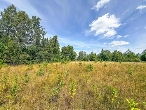 1.62 A Darlaks Bay Lane, Worcester, WI, 54555 | Card Image