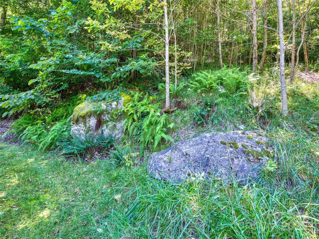 00 Yellow Locust Dr, Home with 0 bedrooms, 0 bathrooms and null parking in Waynesville NC | Image 7