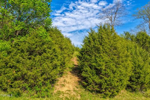 Tbd Cloud Creek Rd, Rogersville, TN, 37857 | Card Image