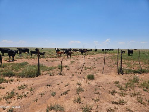 northern-sky-ranch-TBD Near Old Holbrook Road, Holbrook, AZ, 86025 | Card Image