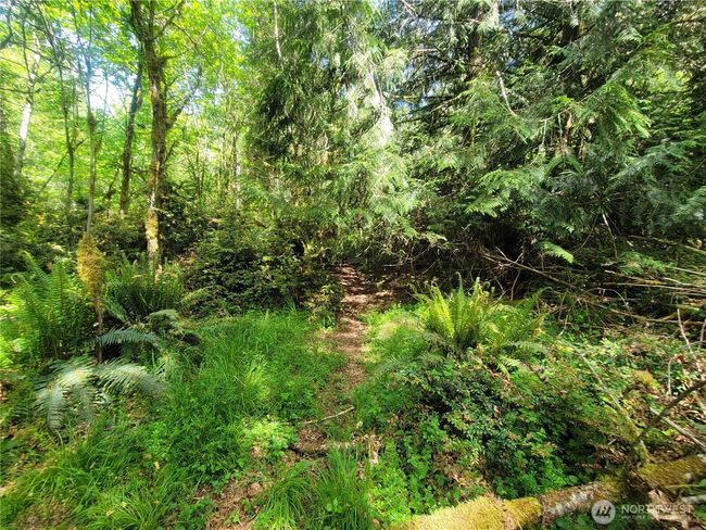 900 E Wilson Way, Home with 0 bedrooms, 0 bathrooms and null parking in Grapeview WA | Image 13