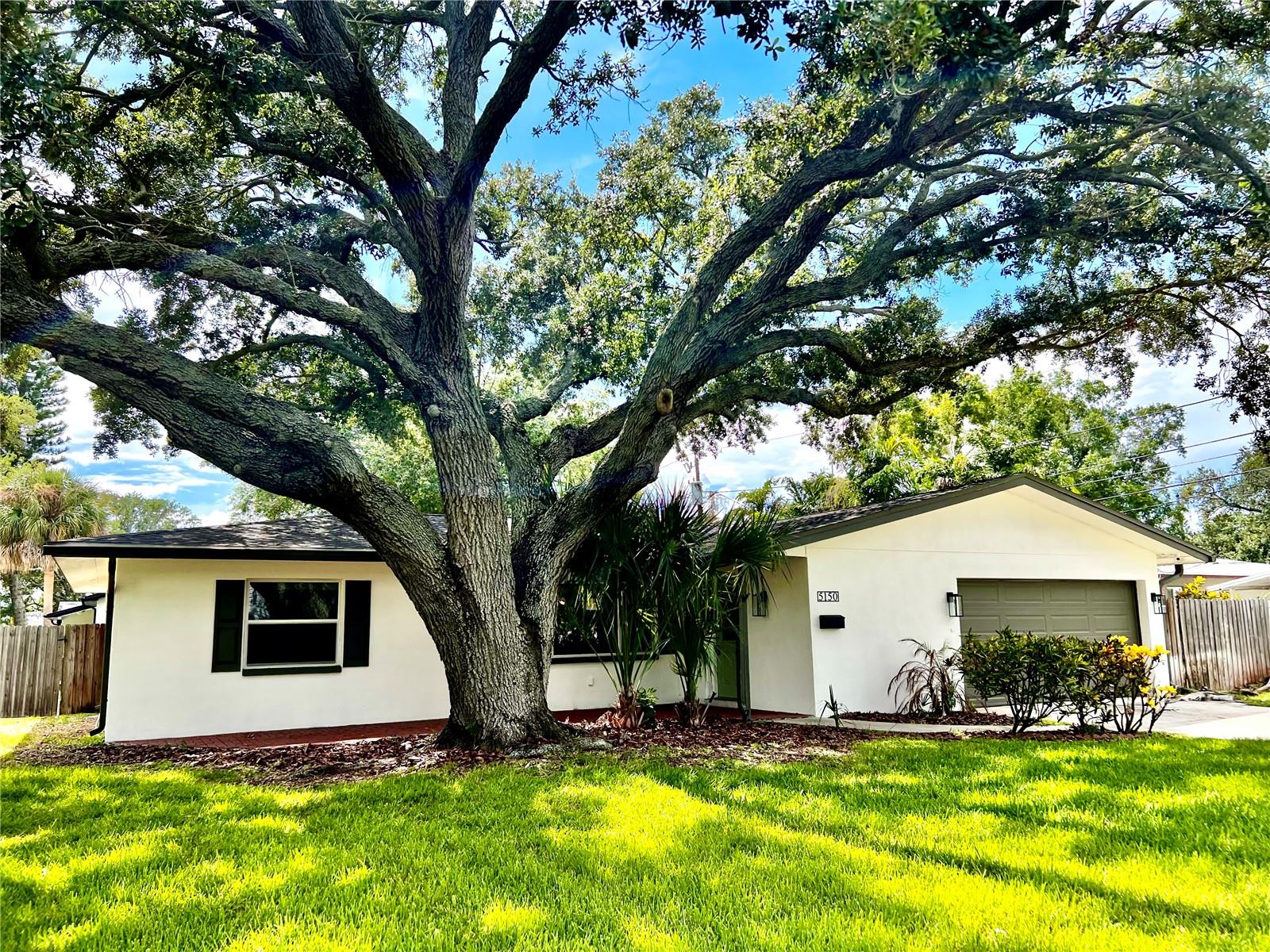 Chancellor St, Saint Petersburg, FL 33703
