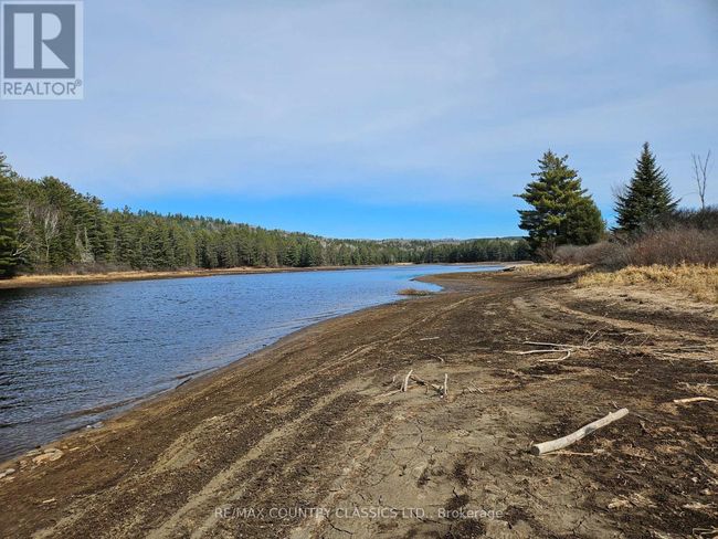 61 River Lane, House other with 4 bedrooms, 1 bathrooms and 6 parking in South Algonquin ON | Image 6