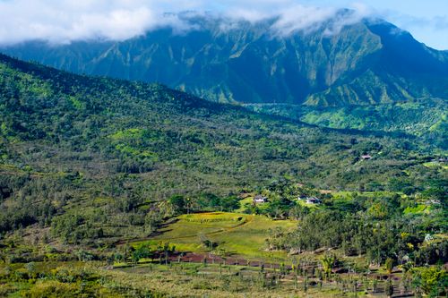 5-2818 Kamookoa Rd, KILAUEA, HI, 96754-5110 | Card Image