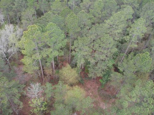 Lot 281 E Lakeland Ct, Hillister, TX, 77624 | Card Image