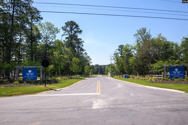 812 Elms Spinney Ln, Home with 0 bedrooms, 0 bathrooms and null parking in Chapin SC | Image 11
