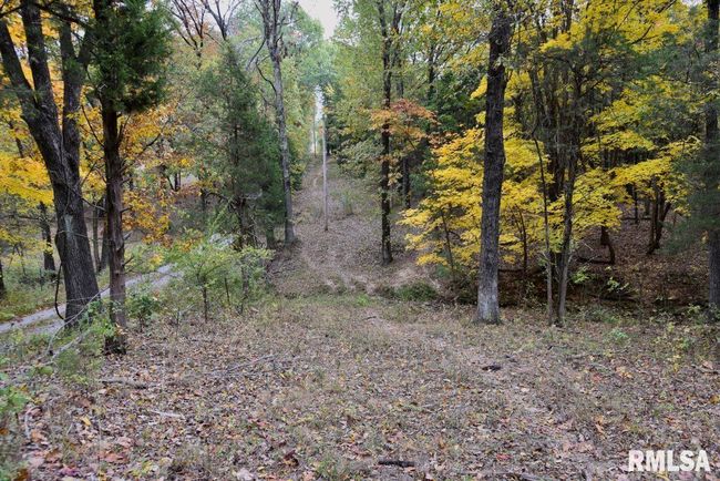 3465 Friendship Loop Loop, Home with 0 bedrooms, 0 bathrooms and null parking in Goreville IL | Image 23