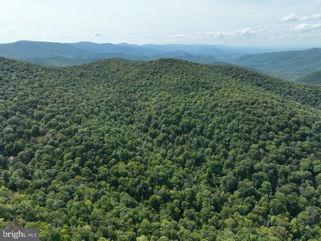 Lot 3 Price Ridge Rd, Home with 0 bedrooms, 0 bathrooms and null parking in STANLEY VA | Image 12