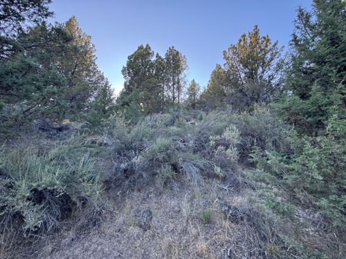100-0 Wasco St, Chiloquin, OR, 97624 | Card Image